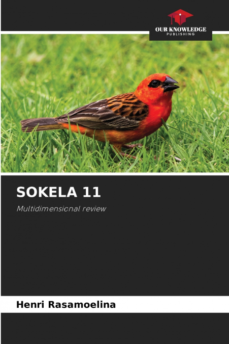 SOKELA 11