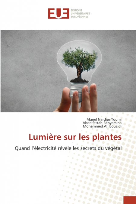 Lumière sur les plantes