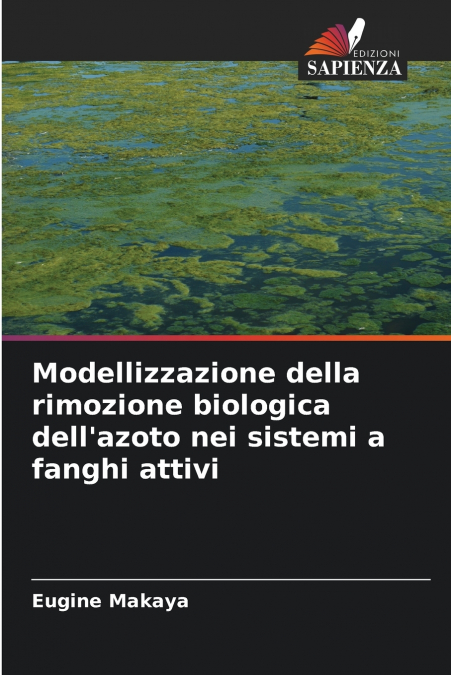 Modellizzazione della rimozione biologica dell’azoto nei sistemi a fanghi attivi
