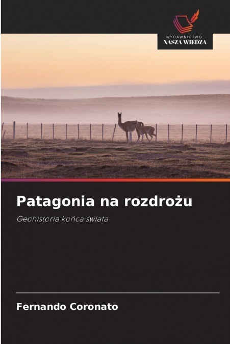Patagonia na rozdrożu