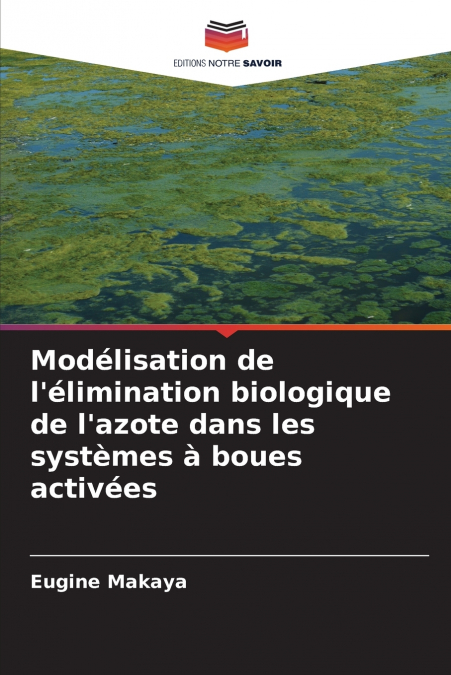 Modélisation de l’élimination biologique de l’azote dans les systèmes à boues activées