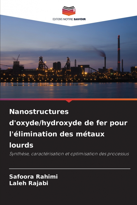 Nanostructures d’oxyde/hydroxyde de fer pour l’élimination des métaux lourds