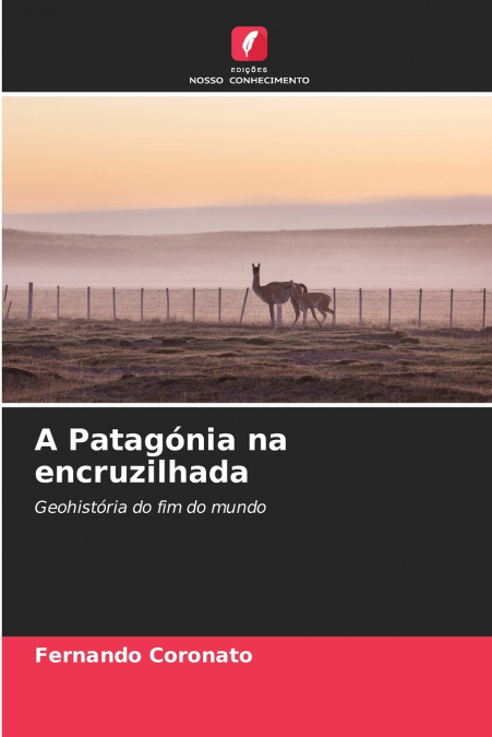 A Patagónia na encruzilhada