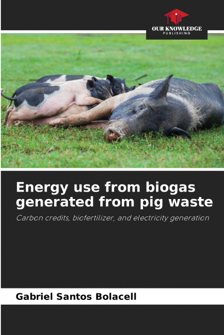 Energy use from biogas generated from pig waste