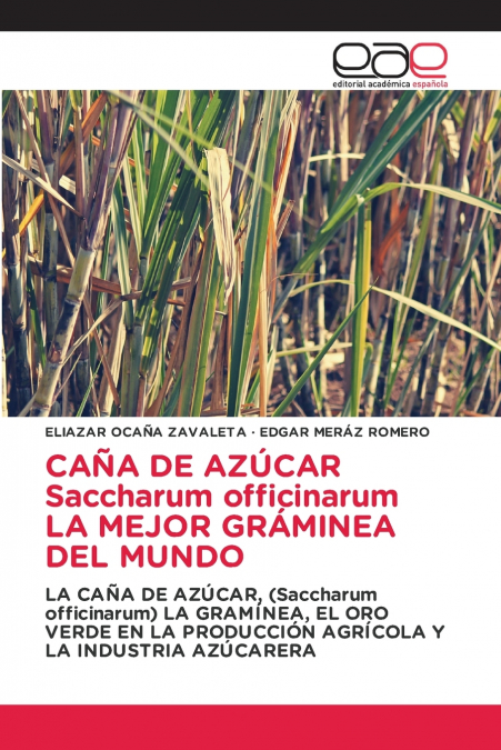 CAÑA DE AZÚCAR Saccharum officinarum LA MEJOR GRÁMINEA DEL MUNDO