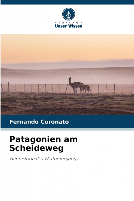 Patagonien am Scheideweg