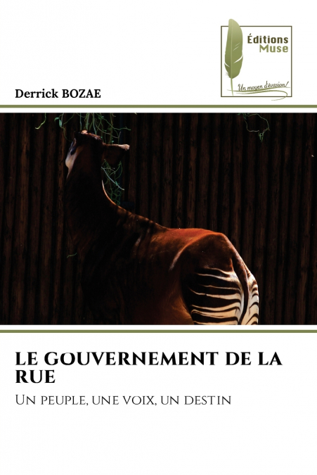 LE GOUVERNEMENT DE LA RUE