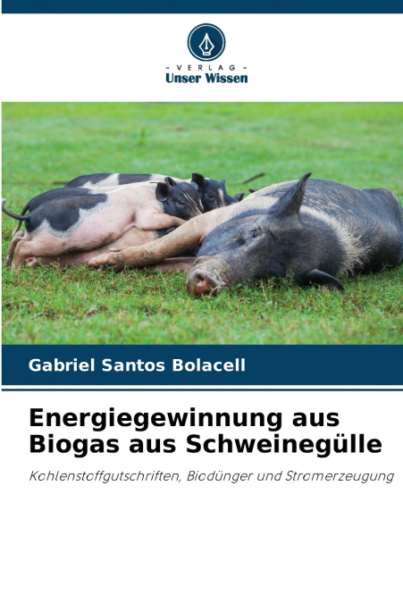Energiegewinnung aus Biogas aus Schweinegülle