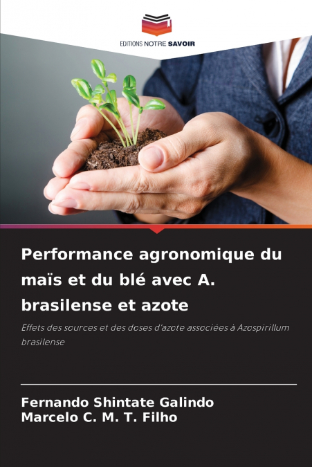 Performance agronomique du maïs et du blé avec A. brasilense et azote