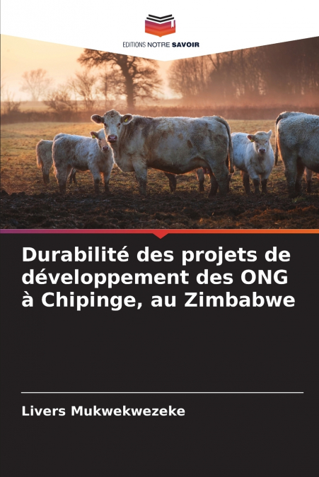 Durabilité des projets de développement des ONG à Chipinge, au Zimbabwe
