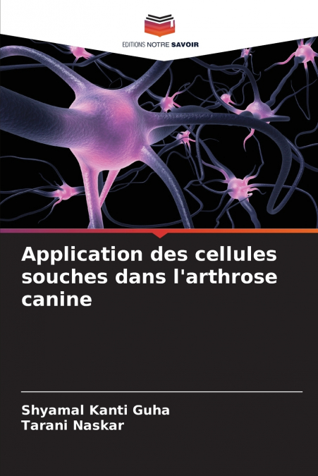 Application des cellules souches dans l’arthrose canine