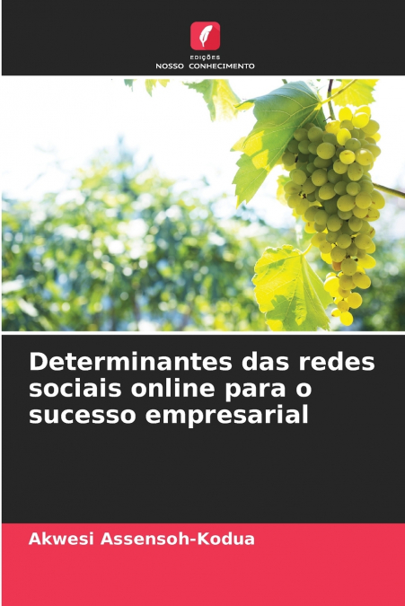 Determinantes das redes sociais online para o sucesso empresarial