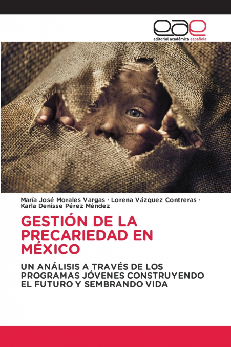 GESTIÓN DE LA PRECARIEDAD EN MÉXICO