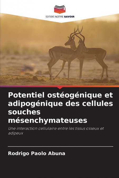 Potentiel ostéogénique et adipogénique des cellules souches mésenchymateuses