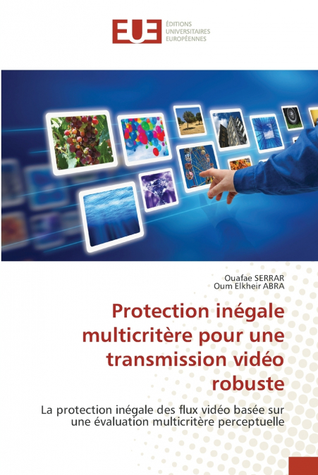 Protection inégale multicritère pour une transmission vidéo robuste