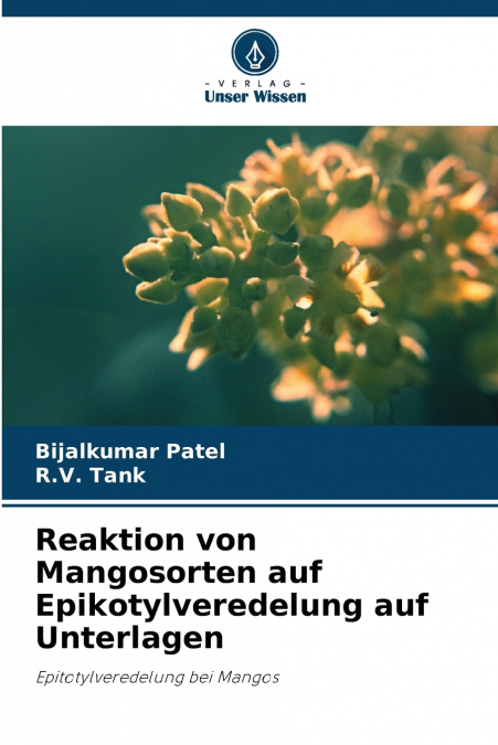 Reaktion von Mangosorten auf Epikotylveredelung auf Unterlagen