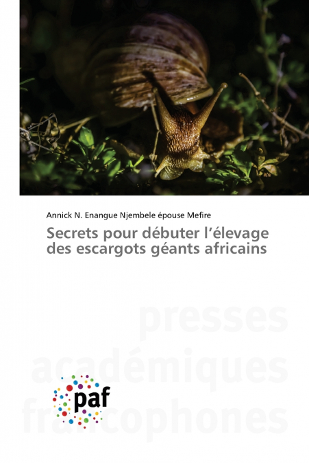 Secrets pour débuter l’élevage des escargots géants africains