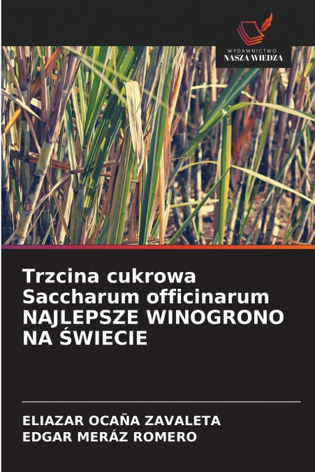 Trzcina cukrowa Saccharum officinarum NAJLEPSZE WINOGRONO NA ŚWIECIE