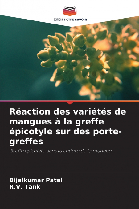 Réaction des variétés de mangues à la greffe épicotyle sur des porte-greffes