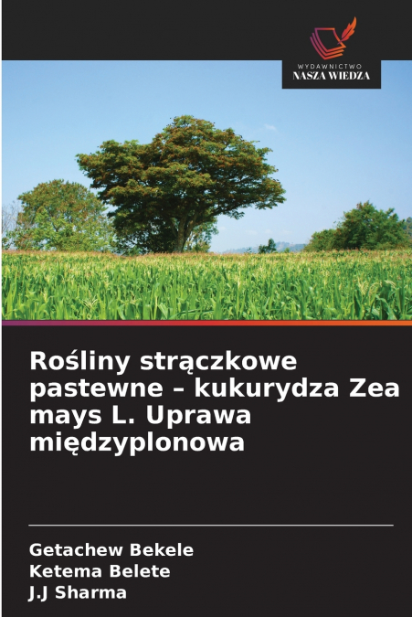 Rośliny strączkowe pastewne - kukurydza Zea mays L. Uprawa międzyplonowa