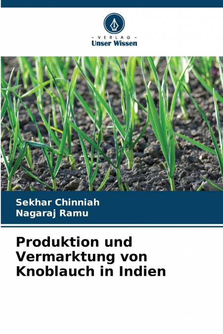 Produktion und Vermarktung von Knoblauch in Indien
