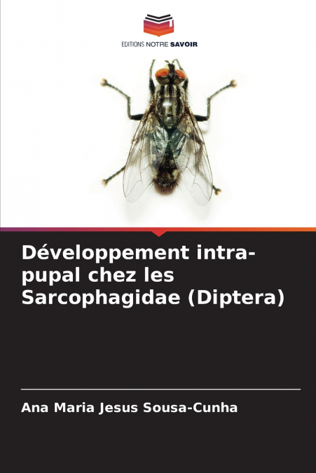 Développement intra-pupal chez les Sarcophagidae (Diptera)