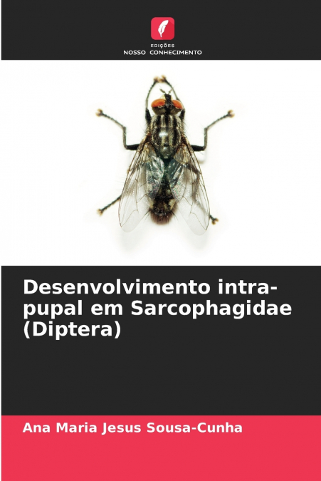 Desenvolvimento intra-pupal em Sarcophagidae (Diptera)