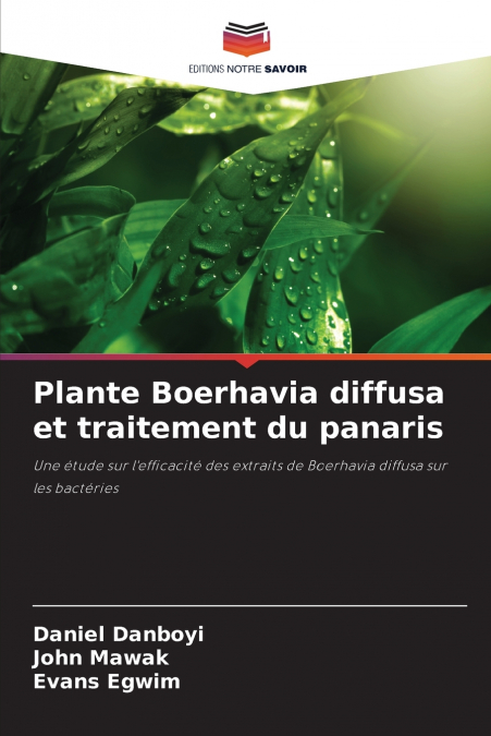 Plante Boerhavia diffusa et traitement du panaris