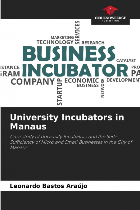 University Incubators in Manaus