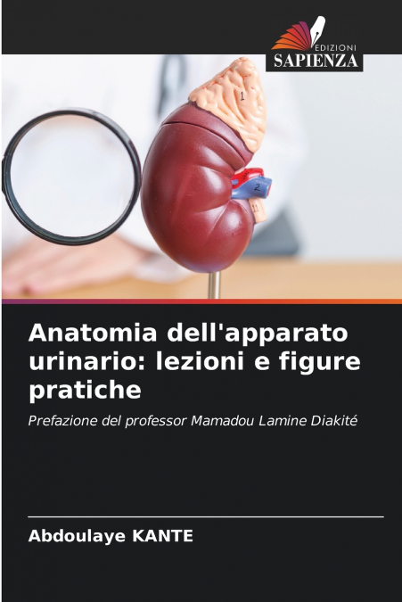 Anatomia dell’apparato urinario