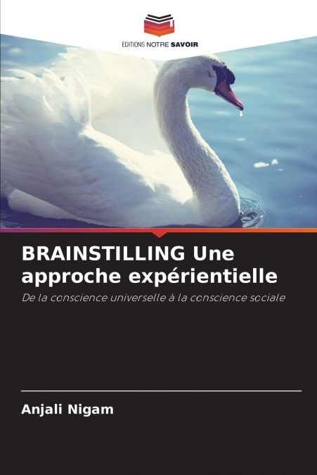 BRAINSTILLING Une approche expérientielle