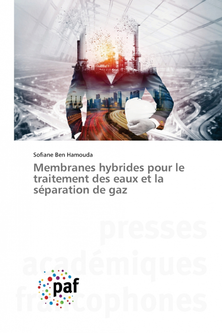 Membranes hybrides pour le traitement des eaux et la séparation de gaz