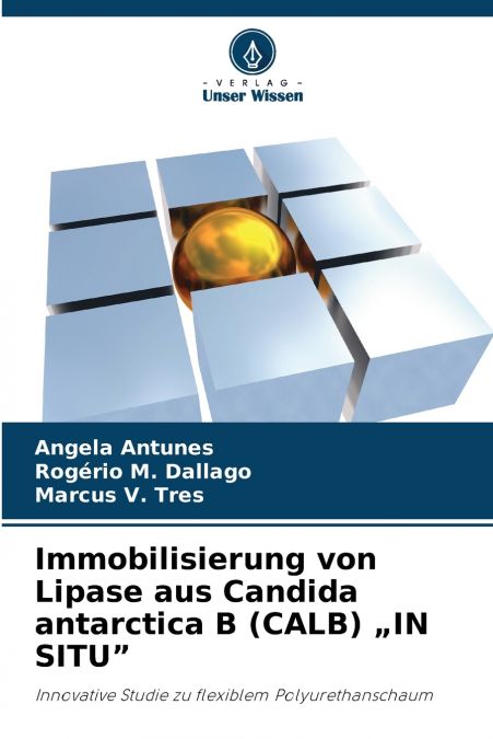 Immobilisierung von Lipase aus Candida antarctica B (CALB) „IN SITU'