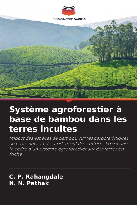 Système agroforestier à base de bambou dans les terres incultes