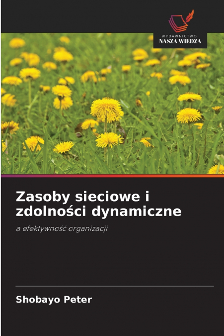 Zasoby sieciowe i zdolności dynamiczne
