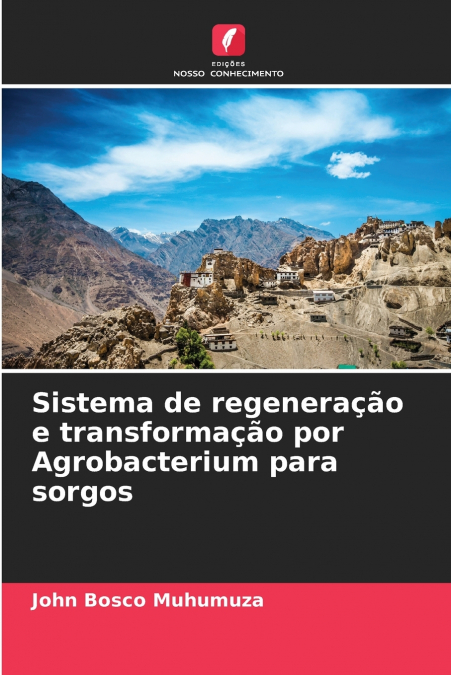 Sistema de regeneração e transformação por Agrobacterium para sorgos