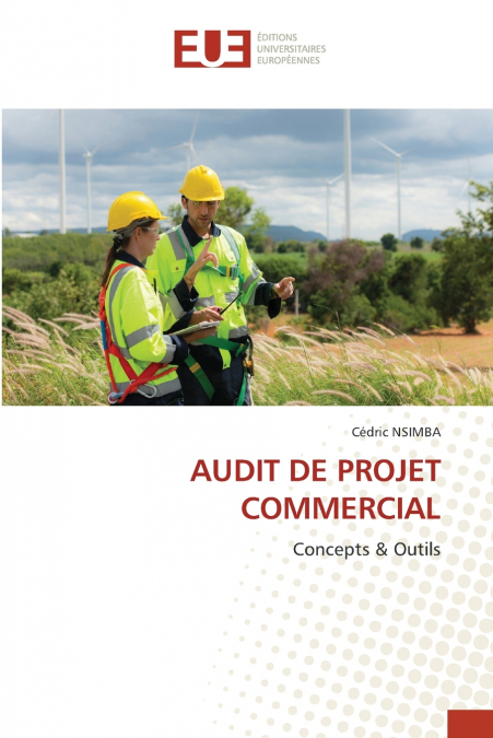 AUDIT DE PROJET COMMERCIAL