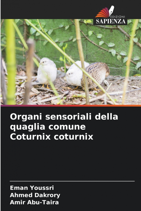Organi sensoriali della quaglia comune Coturnix coturnix