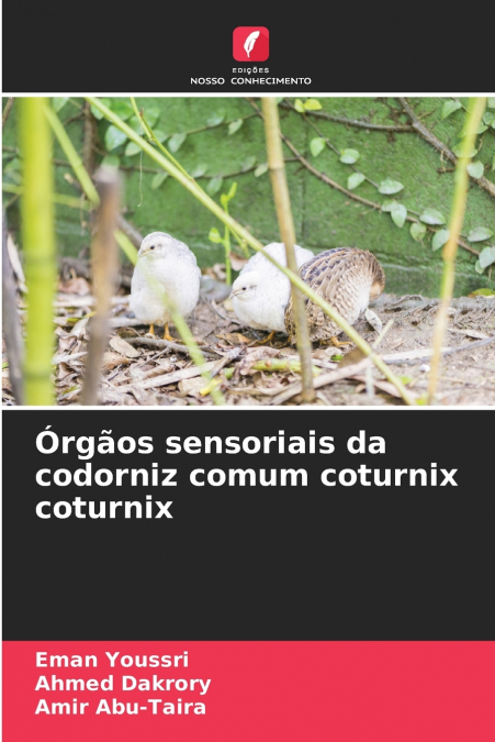 Órgãos sensoriais da codorniz comum coturnix coturnix