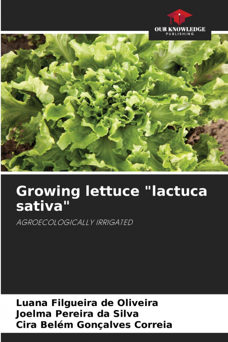 Growing lettuce 'lactuca sativa'