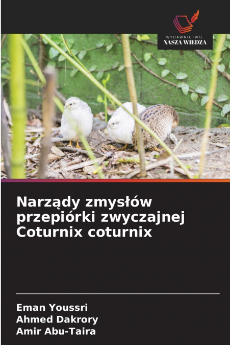 Narządy zmysłów przepiórki zwyczajnej Coturnix coturnix
