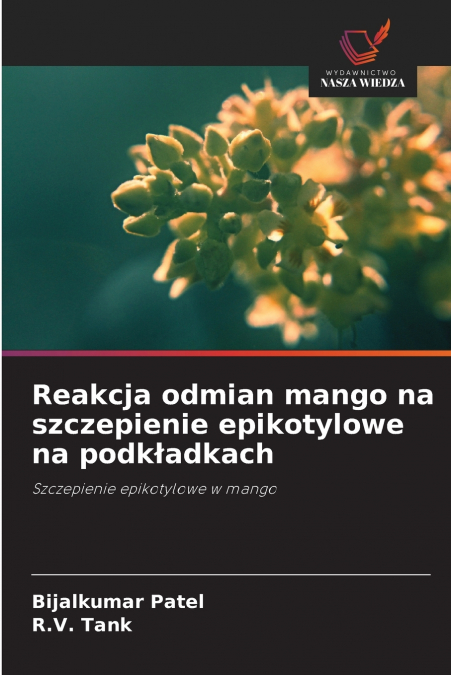 Reakcja odmian mango na szczepienie epikotylowe na podkładkach
