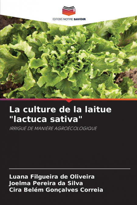 La culture de la laitue 'lactuca sativa'