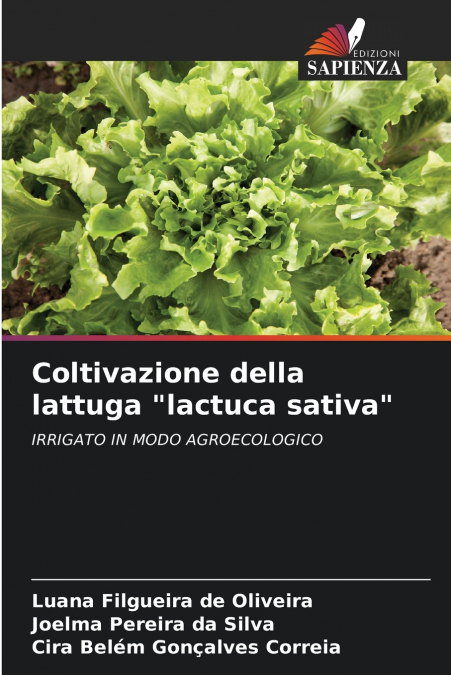 Coltivazione della lattuga 'lactuca sativa'