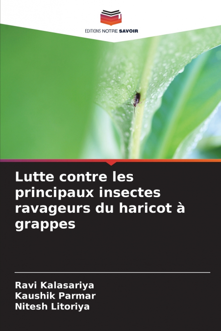 Lutte contre les principaux insectes ravageurs du haricot à grappes