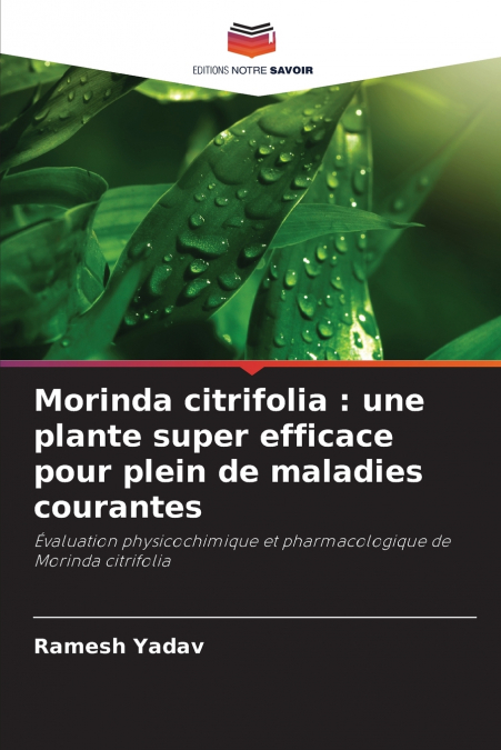 Morinda citrifolia