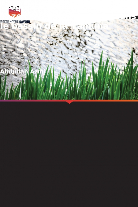 Biogéochimie du carbone, de l’azote et du phosphore dans le bassin de la Yamuna