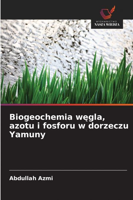 Biogeochemia węgla, azotu i fosforu w dorzeczu Yamuny