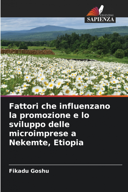 Fattori che influenzano la promozione e lo sviluppo delle microimprese a Nekemte, Etiopia
