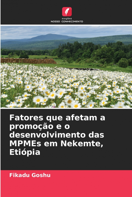 Fatores que afetam a promoção e o desenvolvimento das MPMEs em Nekemte, Etiópia